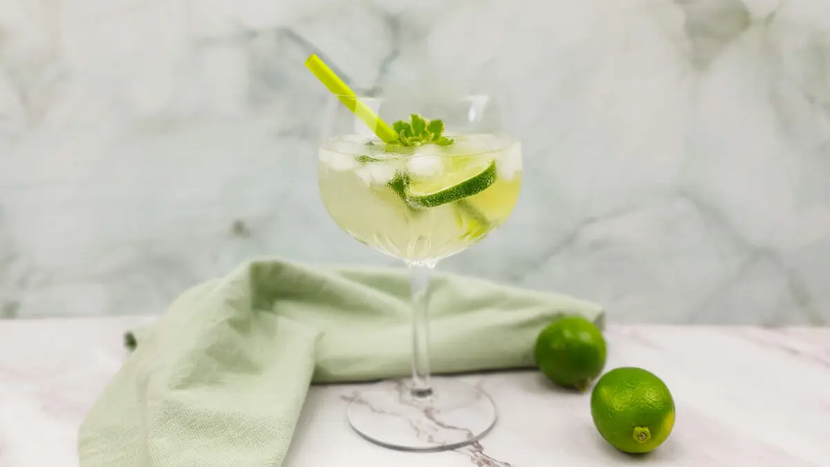 Hugo: Zelfgemaakte hugo met dit supersimpele hugo recept